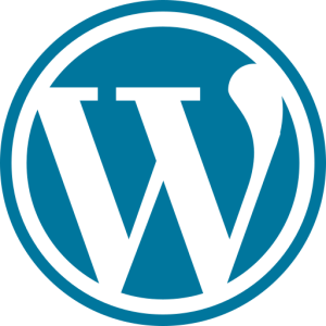 wordpress seo